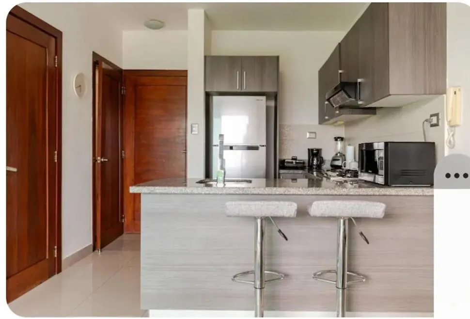 Condo Apartment Santo Domingo